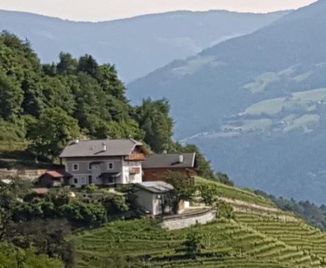 Maso Fallmerayer - Fallmerayerhof Brixen Exterior foto